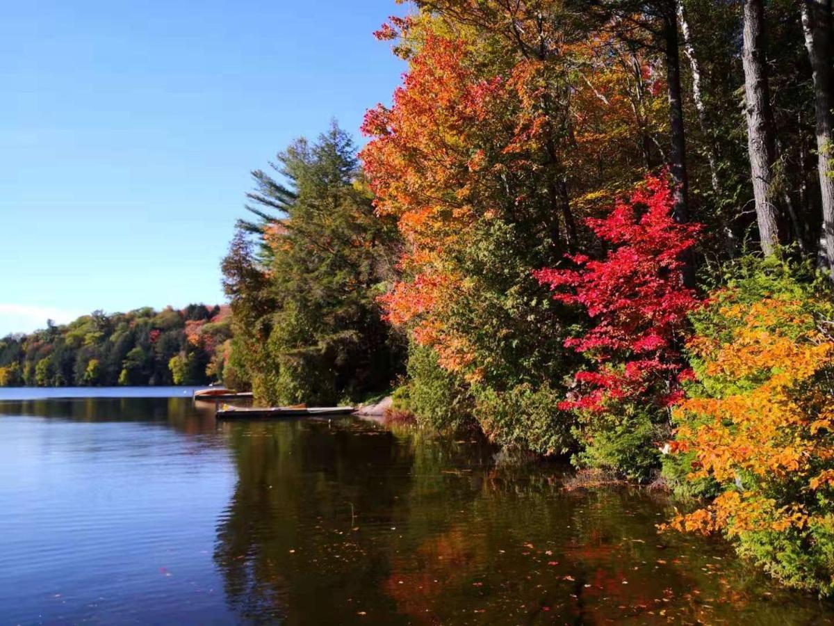 Sunny Point Resort Otter Lake Exterior photo